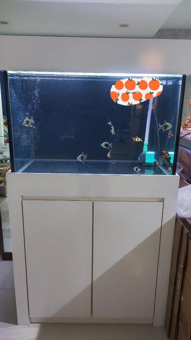 3ft fish tank (Category: Homes & Other Pet Accessories) located in Singapore. Submitted by civic220 (Listing ID 1367739766, Image 1). Description: N30 3by2by2 selling with ohf, pump and light condition as new, no damages or rust on cabinets...