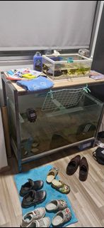 (Category: ) located in . Submitted by ryuukih (Listing ID 1367800885, Image 1). Description: .