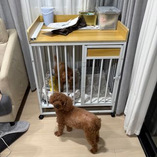 （分類：）位於 。 由 losze 提交（商品編號 1367722895，圖片 1）。簡介： 。