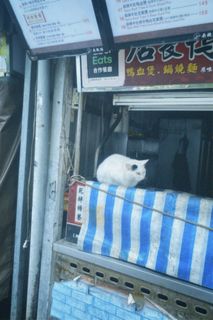 由 roomofempty (刊登 ID 1367786691，圖片 1) 提交，位於 的 (類別：)，說明：。