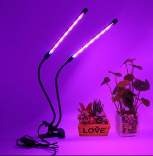 （分類：）位於 。 由 shopyetshop 提交（商品編號 1367782797，圖片 1）。簡介： 。