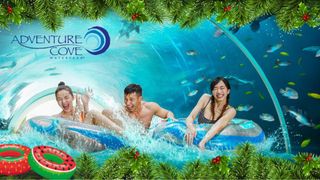 (Category: ) located in . Submitted by wagonkoh15 (Listing ID 1367821846, Image 1). Description: .