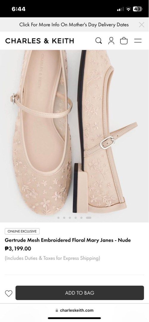 Charles and keith mesh mary janes (Category: Flats & Sandals) located in Paranaque City. Submitted by mikaaa_y (Listing ID 1367692947, Image 1). Description: ✮ Good quality guaranteed 💯 - Sizes: euro 35 - 45 - Via lalamove or jnt Strictly 50% DP for every purchase - no cancellation, dp not refundable! (No return no exchange policy) Avail for pre-order now! ♡.
