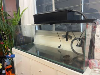 (Category: ) located in . Submitted by a168_pte_ltd (Listing ID 1367738655, Image 1). Description: .