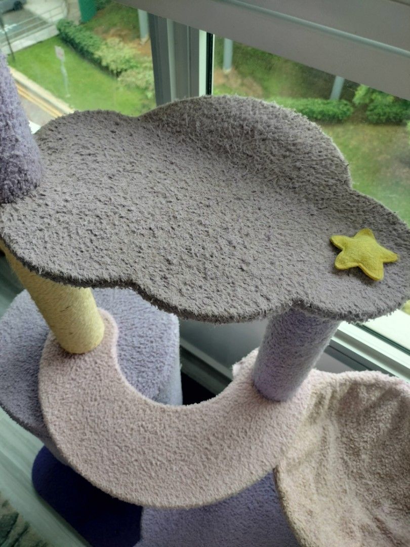 Cat Condo65075285634178112