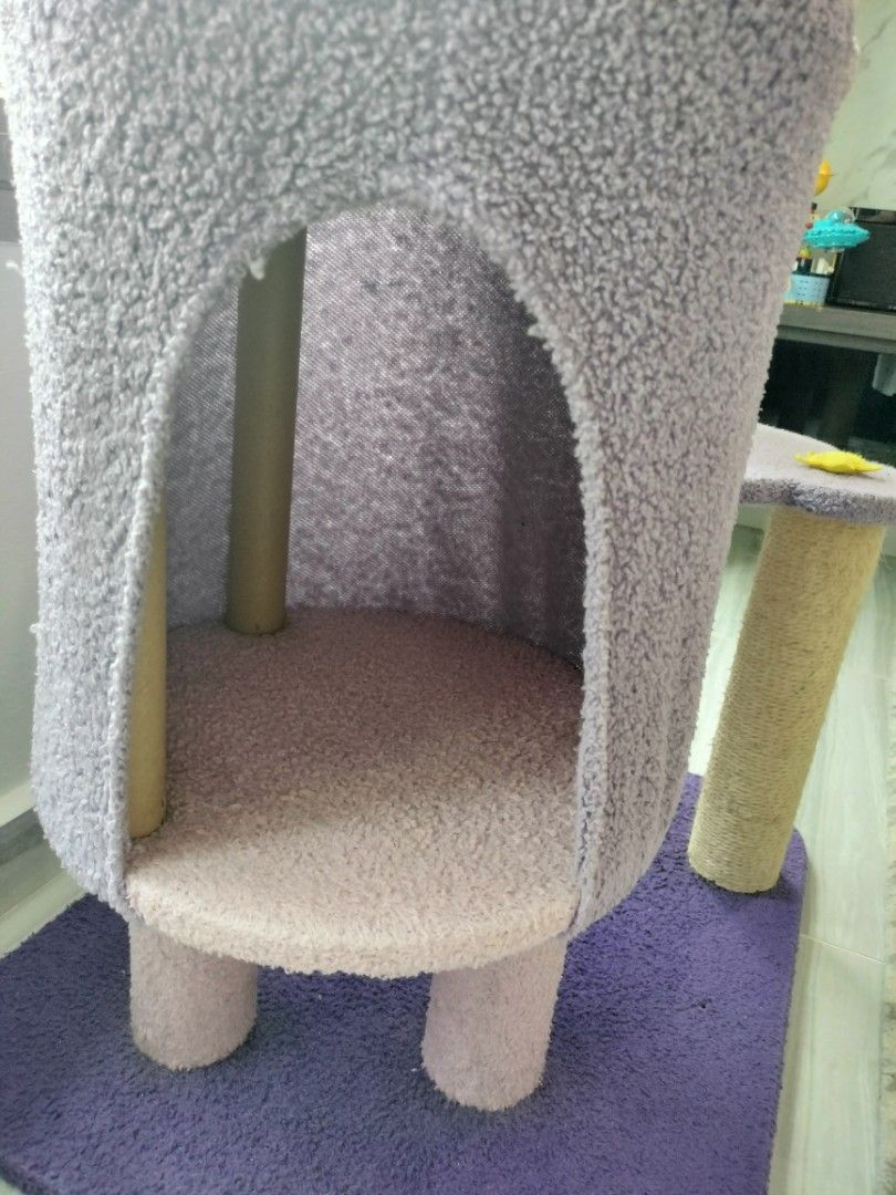 Cat Condo65075285634178114