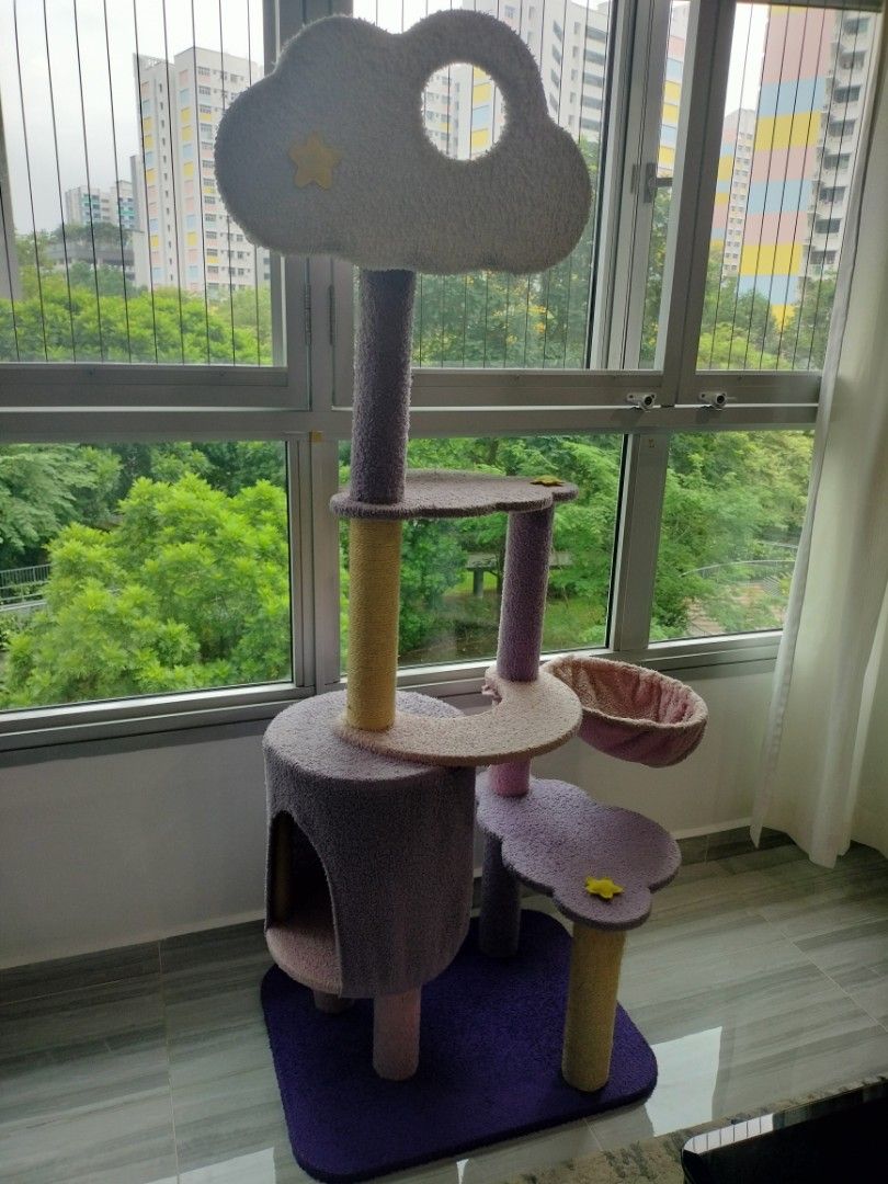 Cat Condo