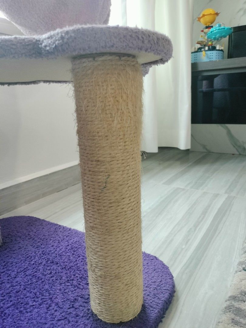 Cat Condo65075285634178115