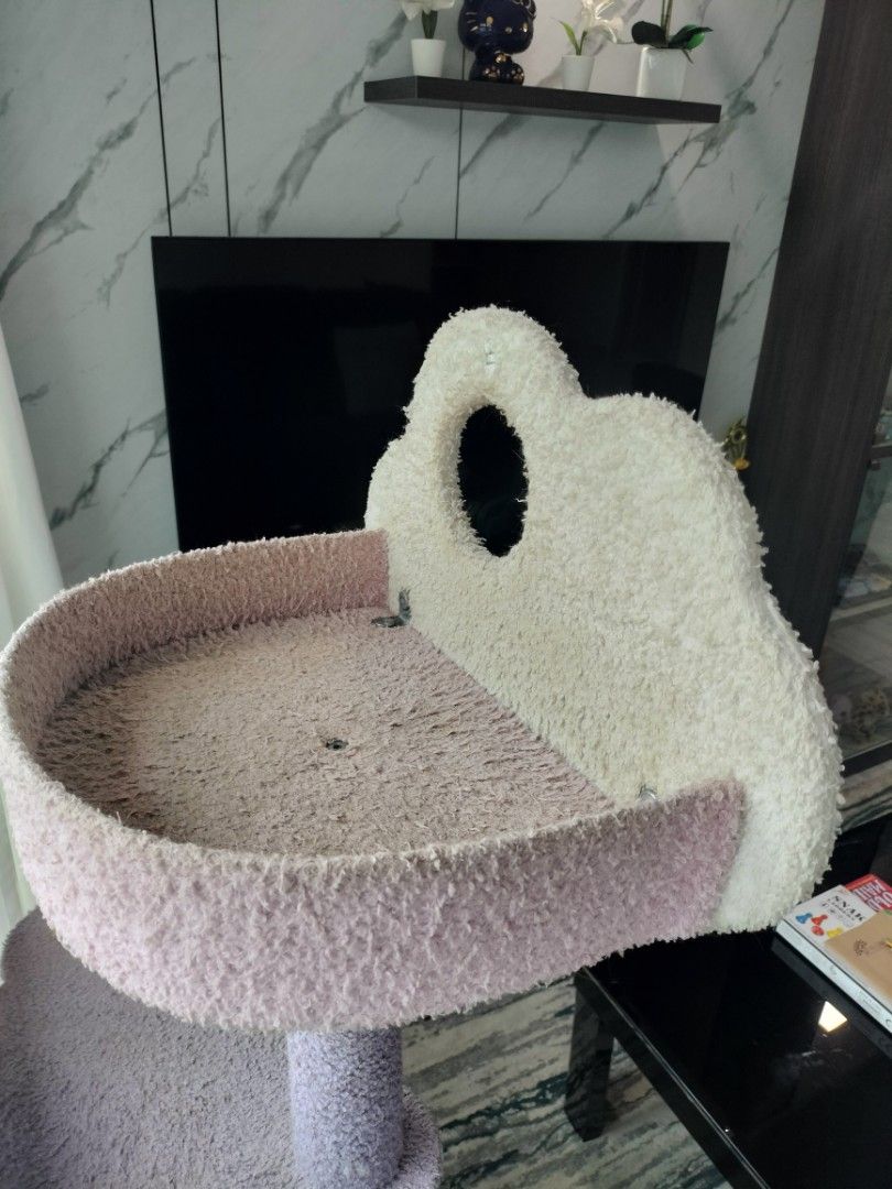 Cat Condo65075285634178111
