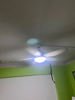 (Category: ) located in . Submitted by xiong87 (Listing ID 1367918392, Image 1). Description: .