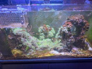 (Category: ) located in . Submitted by packedfudge (Listing ID 1368008114, Image 1). Description: .