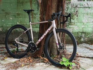 (Category: ) located in . Submitted by revbikecollective (Listing ID 1366655529, Image 1). Description: .