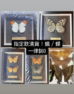 （分類：）位於 。 由 davy0530 提交（商品編號 1368158176，圖片 1）。簡介： 。
