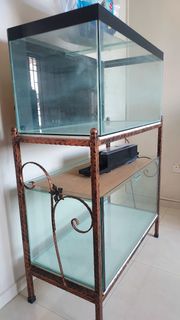 (Category: ) located in . Submitted by swordtail (Listing ID 1372300427, Image 1). Description: .