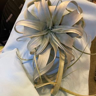 （分類：）位於 。 由 gladyz97 提交（商品編號 1372427578，圖片 1）。簡介： 。