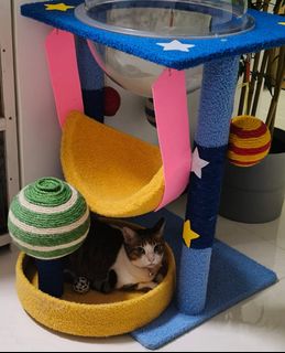 (Category: ) located in . Submitted by luvangel4ev (Listing ID 1372314029, Image 1). Description: .