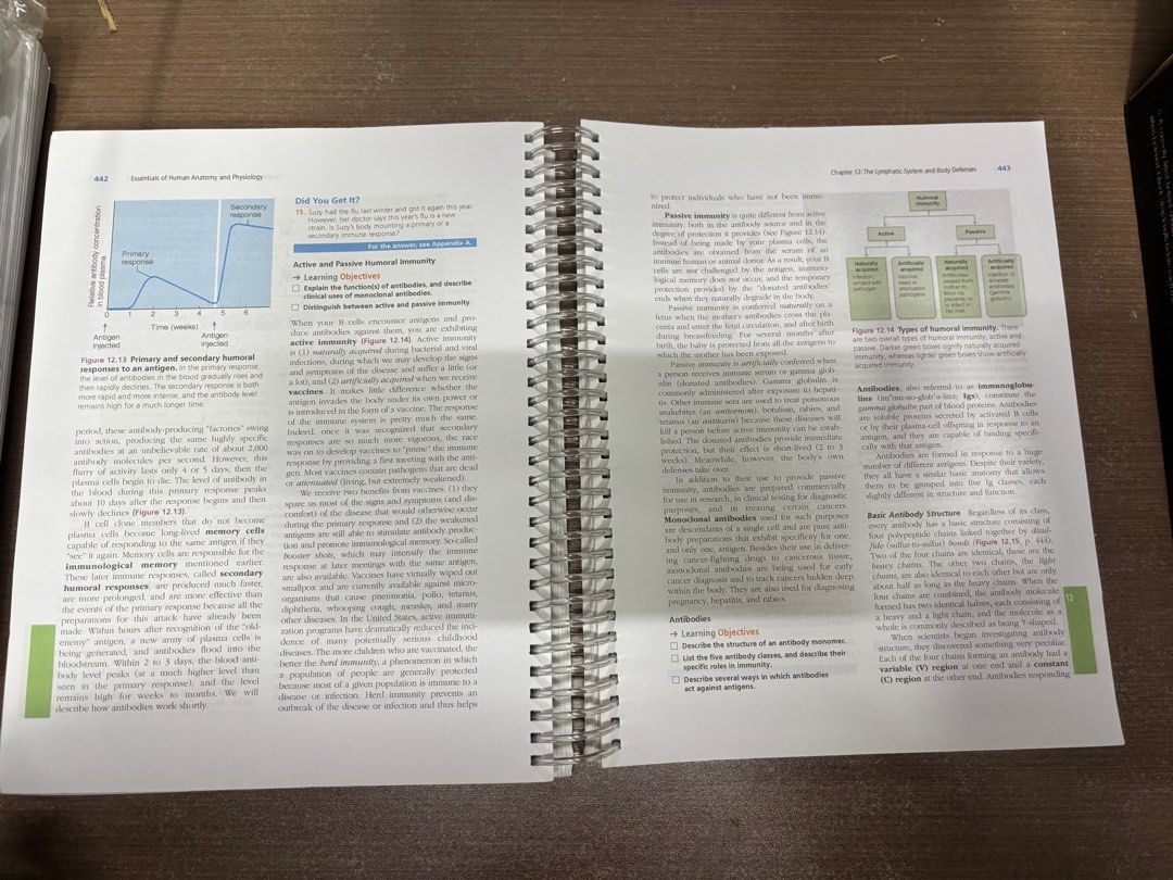 Essentials of Human Anatomy and Physiology 12th edition Pearson ...