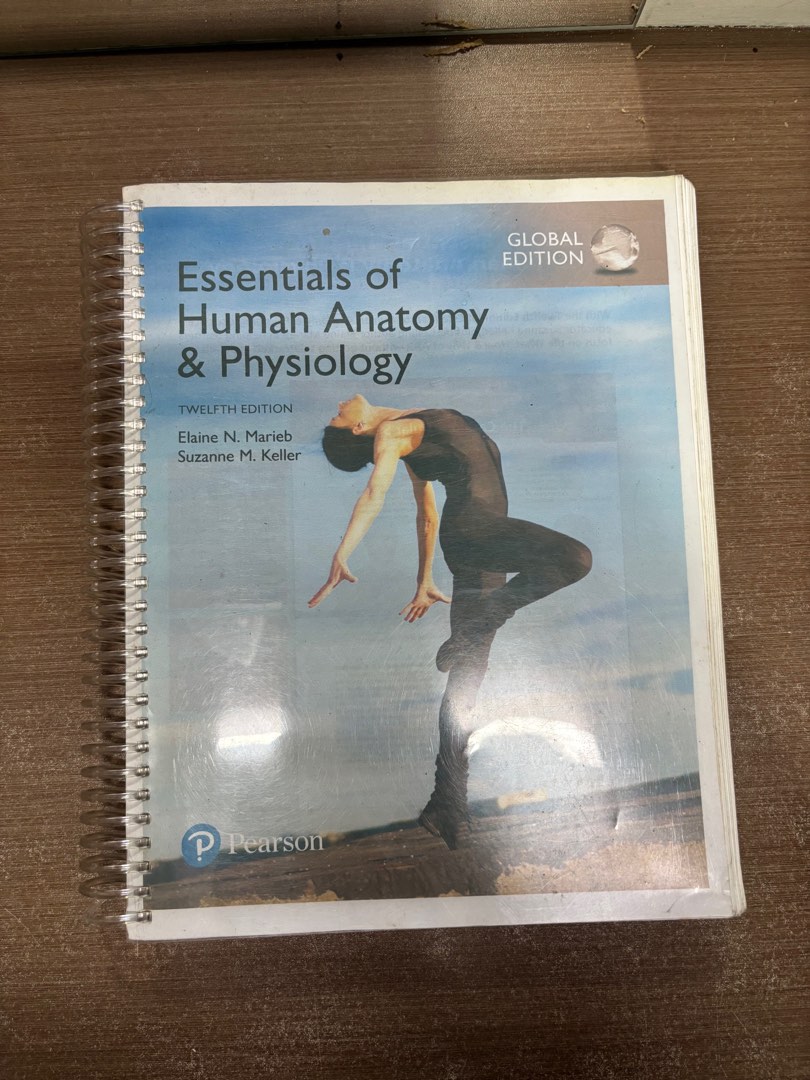 Essentials of Human Anatomy and Physiology 12th edition Pearson