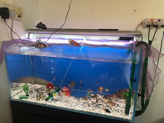 (Category: ) located in . Submitted by panch_26 (Listing ID 1372356028, Image 1). Description: .