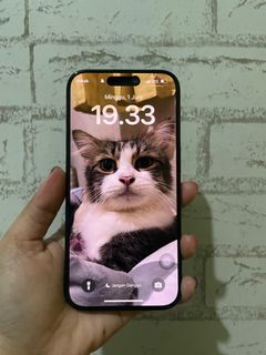 (Kategori: ) berada di . Dikirim oleh willydone (ID iklan 1372409988, Gambar 1). Deskripsi: .