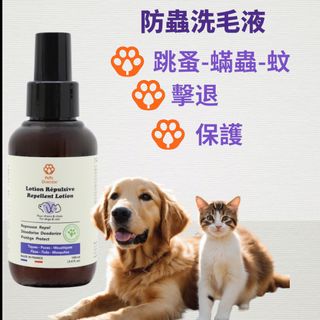 （分類：）位於 。 由 superdaim 提交（商品編號 1372314940，圖片 1）。簡介： 。