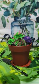 (Category: ) located in . Submitted by jennik (Listing ID 1372327920, Image 1). Description: .