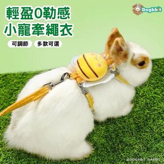 由 cate787866 (刊登 ID 1374070181，圖片 1) 提交，位於 的 (類別：)，說明：。