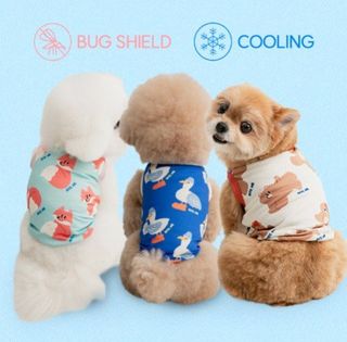 （分類：）位於 。 由 anywhere852 提交（商品編號 1374041218，圖片 1）。簡介： 。