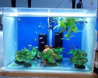 (Category: ) located in . Submitted by rl70cwd (Listing ID 1374059242, Image 1). Description: .
