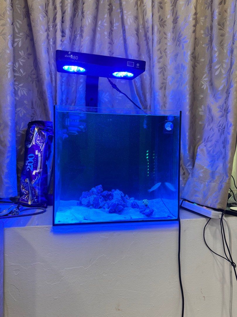 Mantis Rubicon 45x45cm reef tank Nano (Category: Homes & Other Pet Accessories) located in Singapore. Submitted by ummrogix_ (Listing ID 1373972016, Image 1). Description: Bought 1 month ago Letting go tgthr with uv steriliser, rocks, pump, r80 Led light ( cant connect app only manual ) And skimmer .
