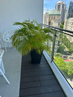 (Category: ) located in . Submitted by cacciagia74663 (Listing ID 1374049001, Image 1). Description: .