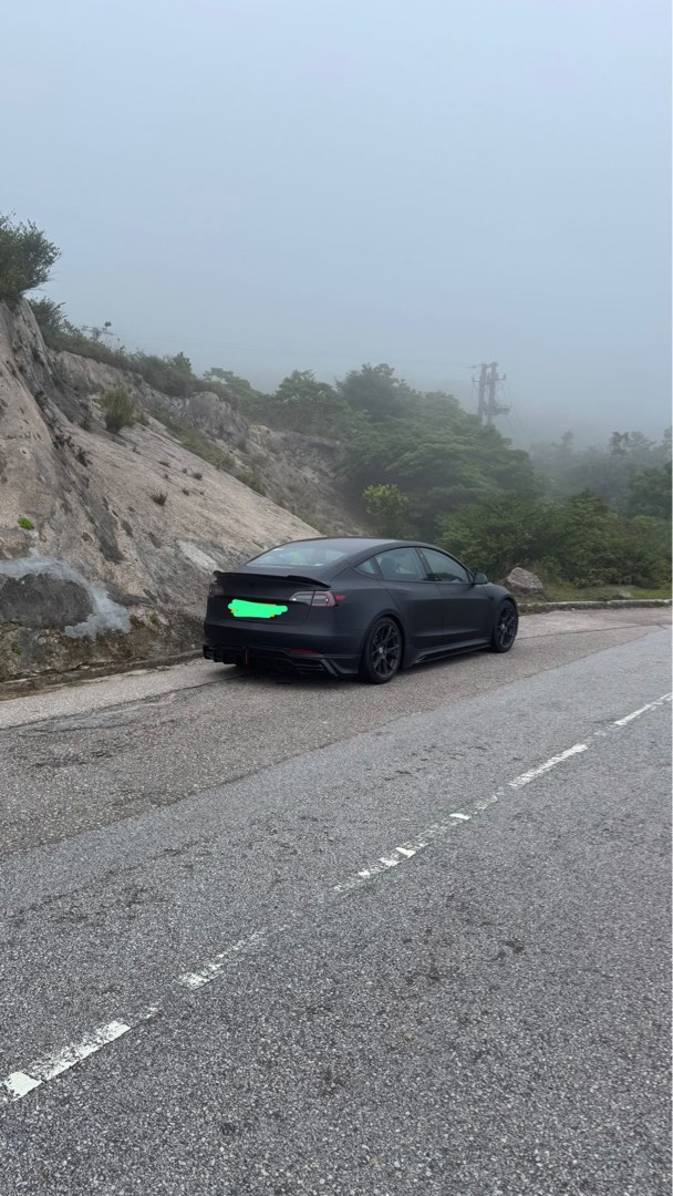 Tesla Model3 LR Auto62863172771329112