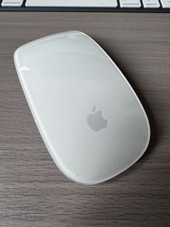 Apple Magic Mouse63012451725697110