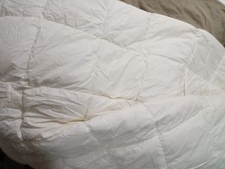 (Category: ) located in . Submitted by slnloo05371 (Listing ID 1374305023, Image 1). Description: .