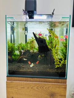 (Category: ) located in . Submitted by harithalande (Listing ID 1374425533, Image 1). Description: .