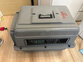 （分類：）位於 。 由 c_Littlemy 提交（商品編號 1374436951，圖片 1）。簡介： 。