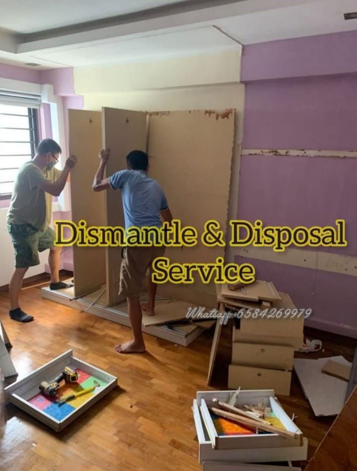 Disposal/dismantle/painting/plastering/mould- all service we are providing62853070210817111