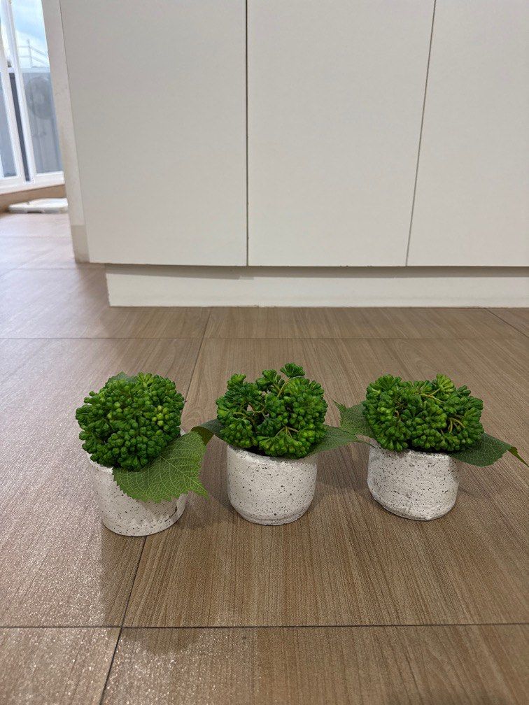 Set of 3 artificial plants (Category: Plants & Seeds) located in Quezon City. Submitted by heylouise (Listing ID 1374423190, Image 1). Description: Just kept in storage Pot is clay / ceramic (breakable and not plastic).