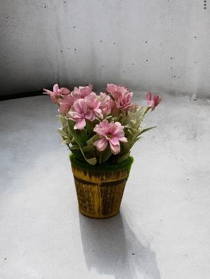 (Category: ) located in . Submitted by alyeow_flowery (Listing ID 1374615180, Image 1). Description: .