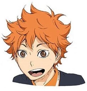 Hinata Shoyo cosplay costume62980459455234115