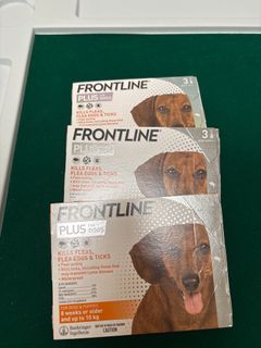 （分類：）位於 。 由 frances_245 提交（商品編號 1374604525，圖片 1）。簡介： 。