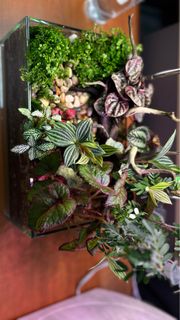 (Category: ) located in . Submitted by siawlang (Listing ID 1374593771, Image 1). Description: .