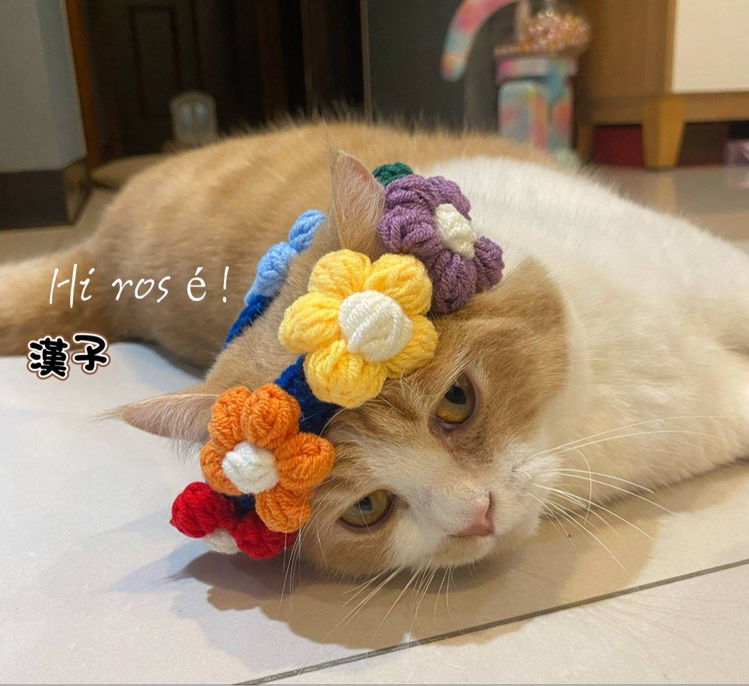 由 hirose0509 (刊登 ID 1374660937，圖片 3) 提交，位於 南投縣 (Nantou) 的 ［Hi rosé!］現貨、實拍！超可愛👍寵物可愛圍脖項圈裝飾配飾品狗狗貓咪手工立體毛線花朵成貓小型犬 牽繩 手鏈 項鏈 (類別：寵物及其他)，說明：單一尺寸20-30公分。