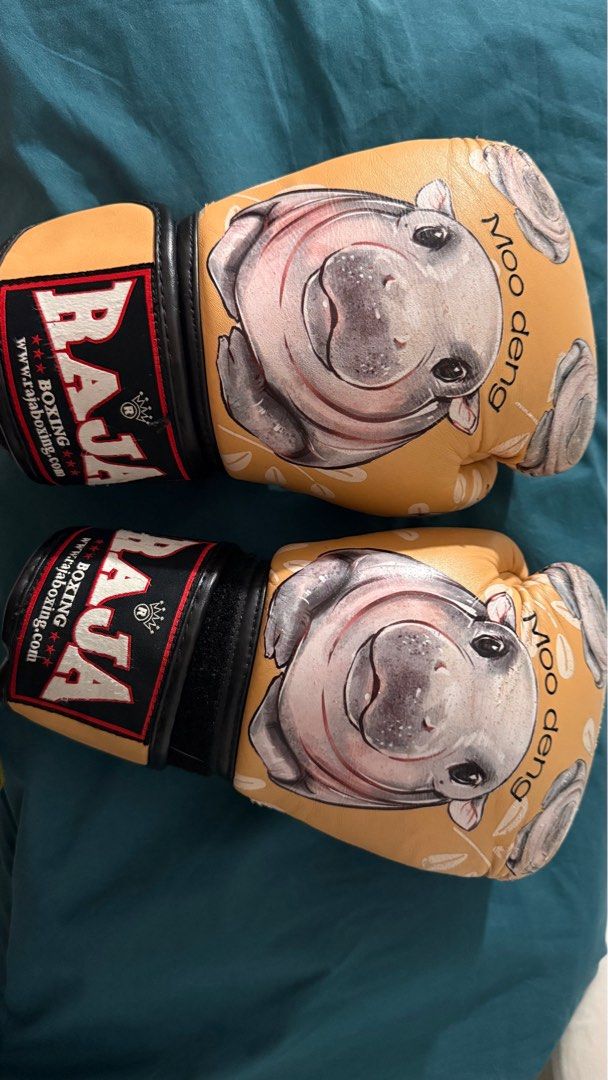 RAJA Moo deng ボクシンググローブ 10オンス Moo Deng Raja Boxing Gloves 10oz, Sports Equipment, Other Sports