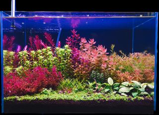 (Category: ) located in . Submitted by jaredxkid (Listing ID 1374651026, Image 1). Description: .