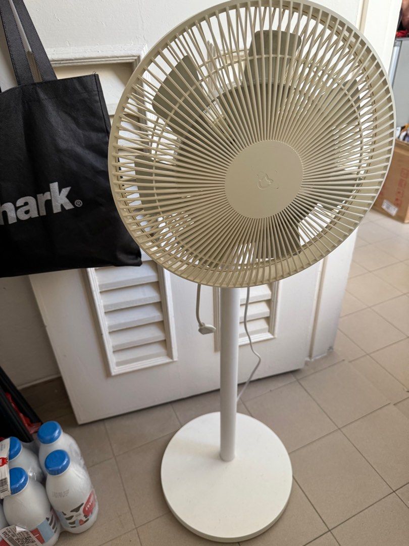 Standing Fan