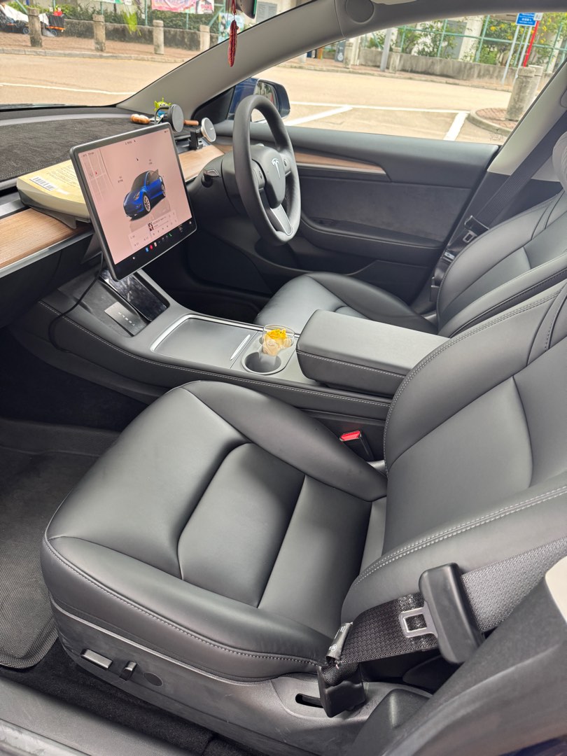 Tesla Model 3  Long Range Auto62863127773569113