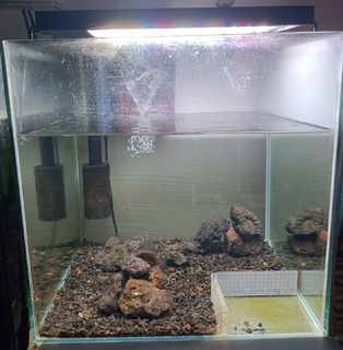 (Category: ) located in . Submitted by nolantr (Listing ID 1374788835, Image 1). Description: .