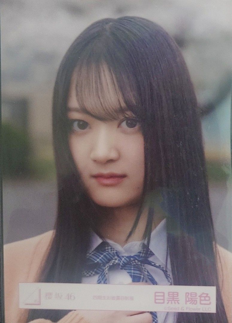 放櫻坂46 生寫真set 目黑陽色, 興趣及遊戲, 收藏品及紀念品, 日本明星