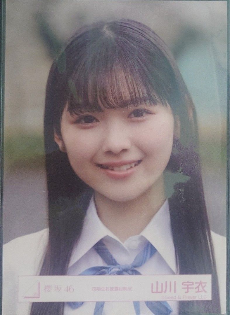 放櫻坂46 生寫真set 山川宇衣, 興趣及遊戲, 收藏品及紀念品